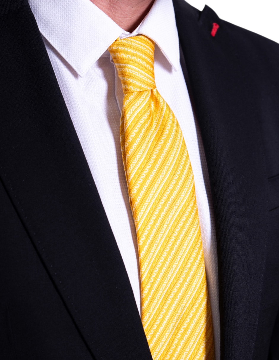 Corbata regular de seda estampado para hombre 4