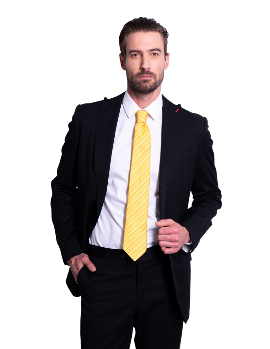 Corbata regular de seda estampado para hombre 2