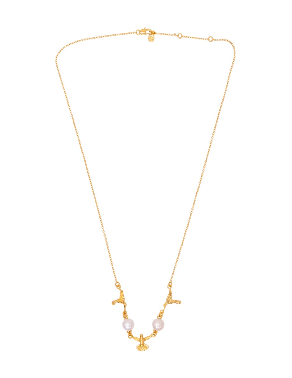 Collar Colibrí chapa de oro 18 k Collar Colibrí chapa de oro 18 k