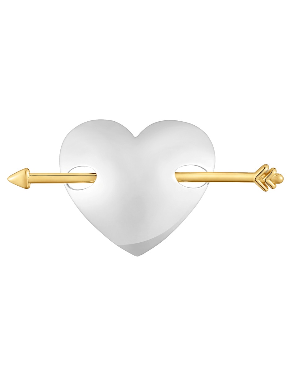 Pasador de corazón 1