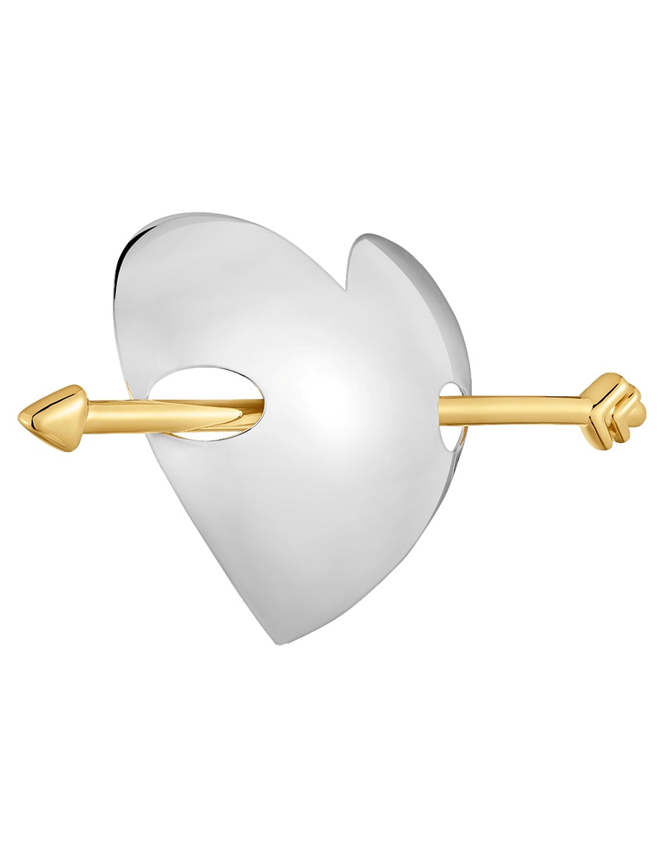 Pasador de corazón 2