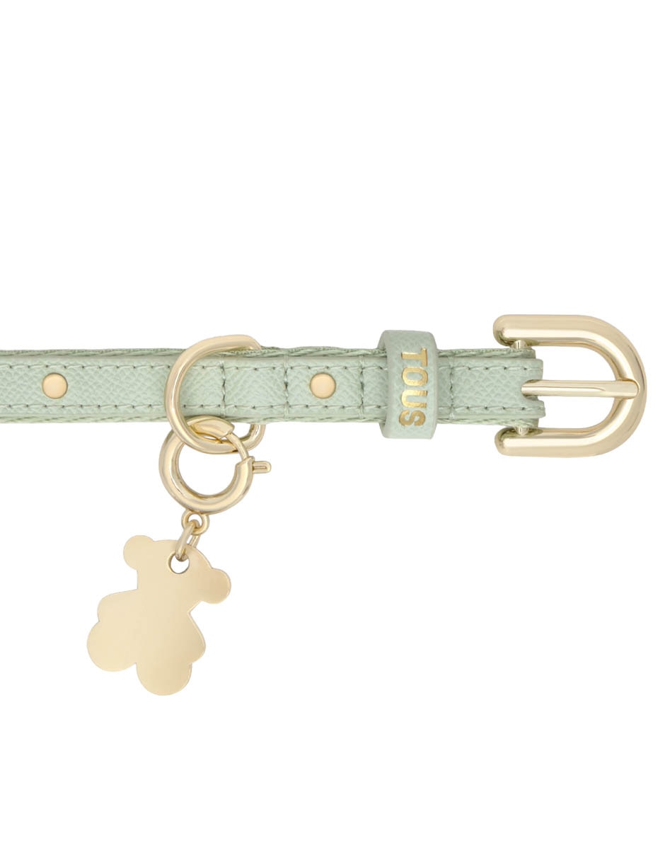 Collar para perro 2