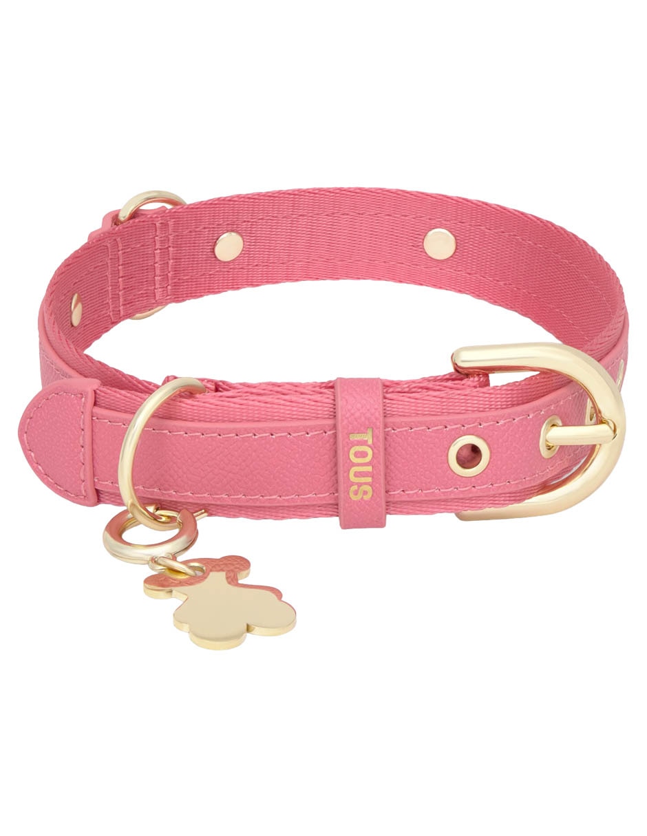 Collar para perro