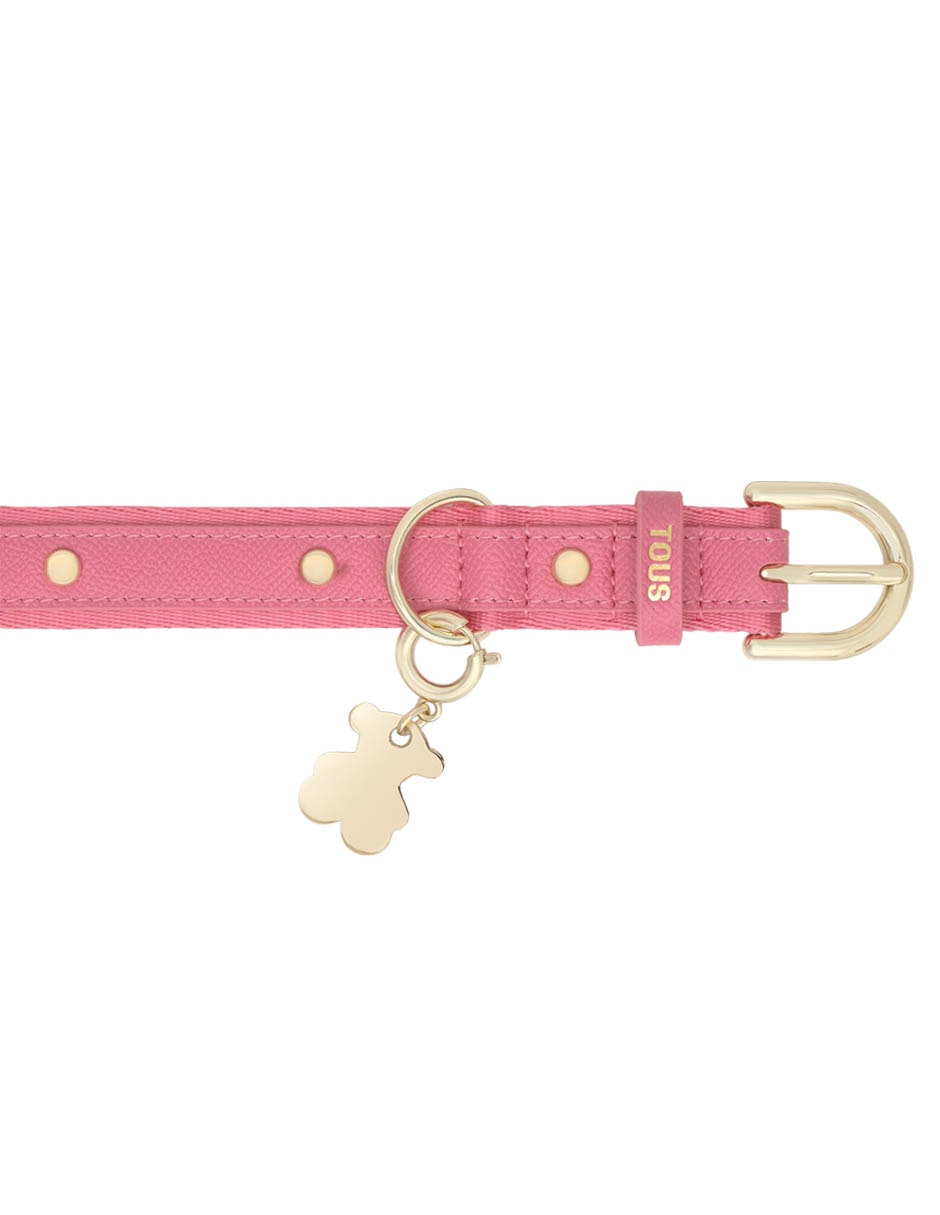 Collar para perro 2